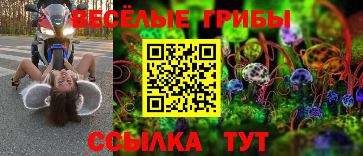 Галлюциногенные грибы Psilocybine cubensis Уварово