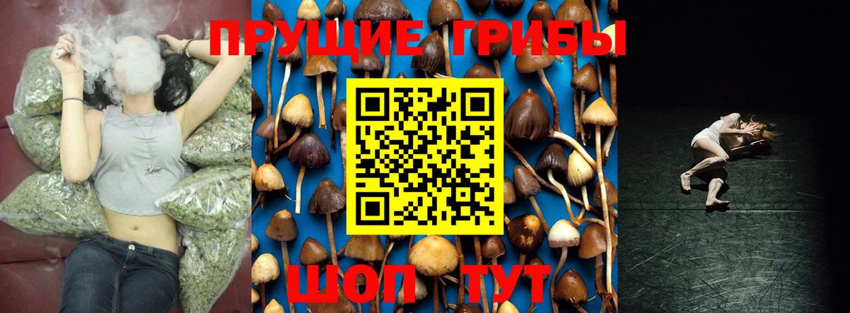 Галлюциногенные грибы GOLDEN TEACHER  наркотики  Уварово  Вход с VPN 